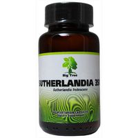 Big Tree Sutherlandia